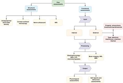 Measuring pain and nociception: Through the glasses of a computational scientist. Transdisciplinary overview of methods